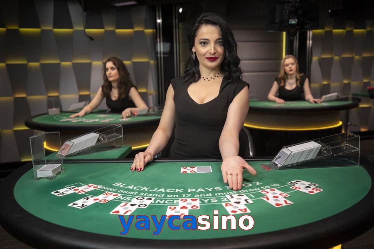 Yaycasino
